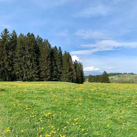Lindners Hideaways - Bergnest Lodge - Bergblick Fewo 6 Pers Balkon Garten Hund Ski Unterkunft Luftkurort Oberreute Naehe Buchenegger Wasserfaelle Eistobel Bodensee Εξωτερικό φωτογραφία