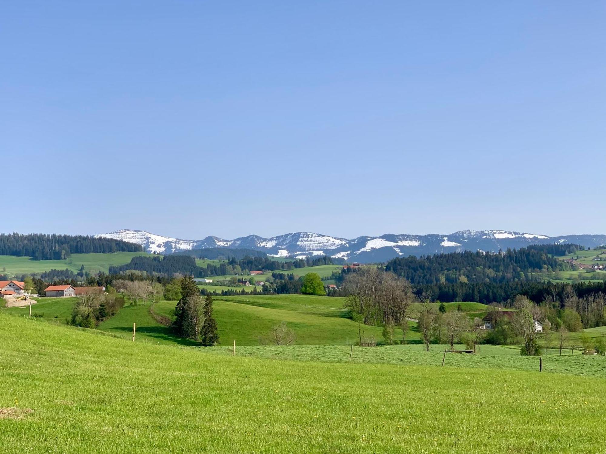 Lindners Hideaways - Bergnest Lodge - Bergblick Fewo 6 Pers Balkon Garten Hund Ski Unterkunft Luftkurort Oberreute Naehe Buchenegger Wasserfaelle Eistobel Bodensee Εξωτερικό φωτογραφία