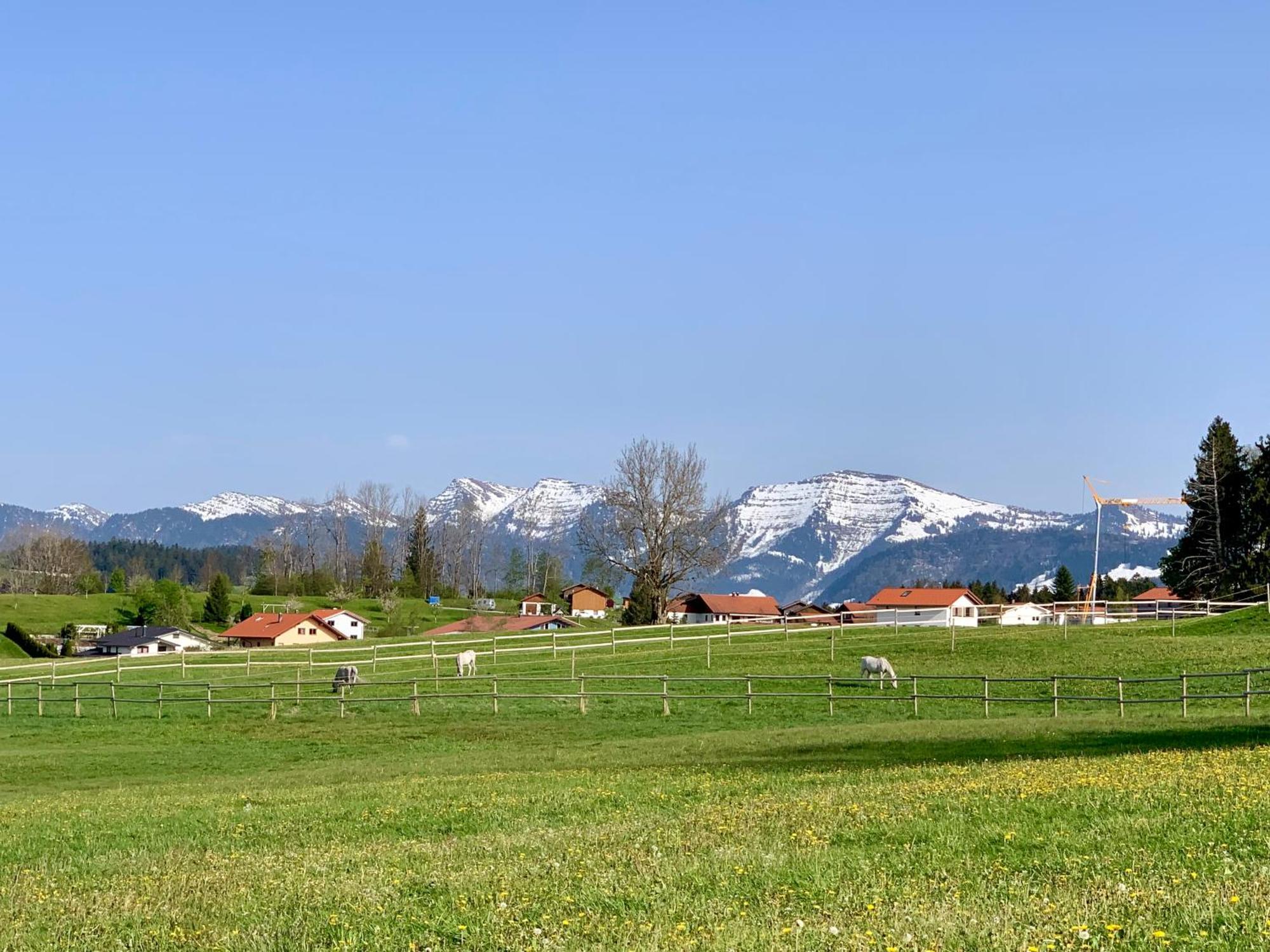 Lindners Hideaways - Bergnest Lodge - Bergblick Fewo 6 Pers Balkon Garten Hund Ski Unterkunft Luftkurort Oberreute Naehe Buchenegger Wasserfaelle Eistobel Bodensee Εξωτερικό φωτογραφία