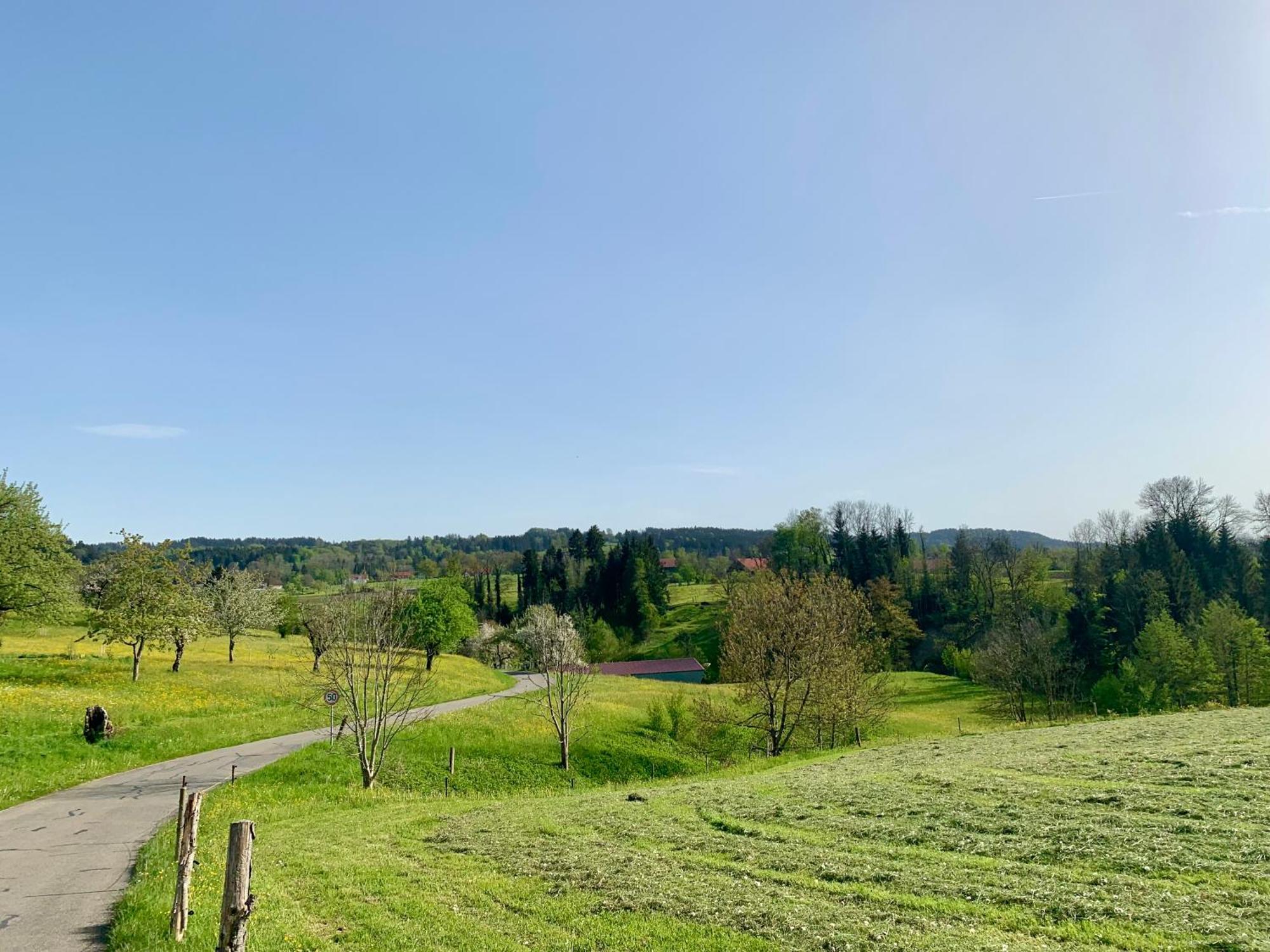 Lindners Hideaways - Bergnest Lodge - Bergblick Fewo 6 Pers Balkon Garten Hund Ski Unterkunft Luftkurort Oberreute Naehe Buchenegger Wasserfaelle Eistobel Bodensee Εξωτερικό φωτογραφία