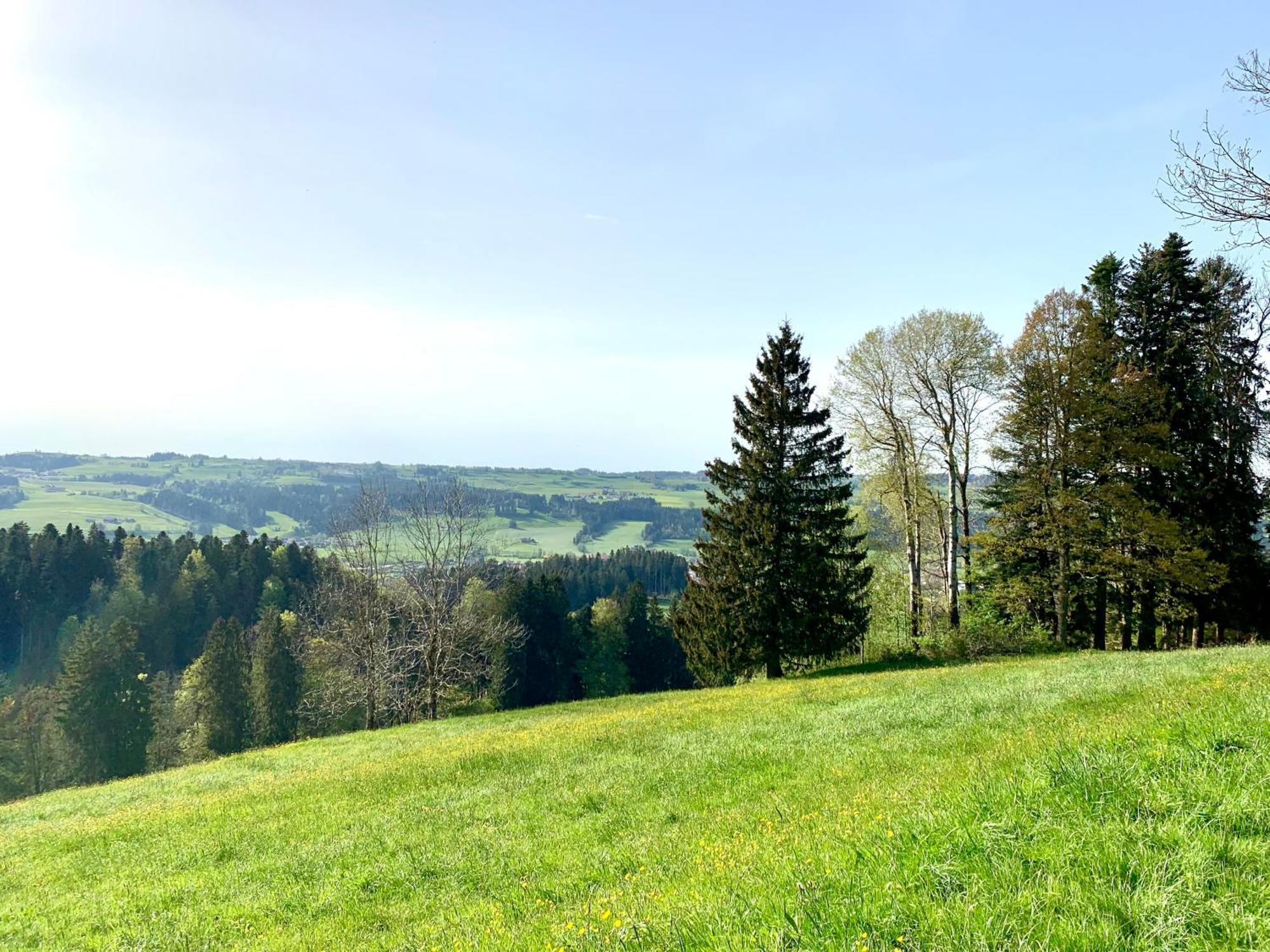 Lindners Hideaways - Bergnest Lodge - Bergblick Fewo 6 Pers Balkon Garten Hund Ski Unterkunft Luftkurort Oberreute Naehe Buchenegger Wasserfaelle Eistobel Bodensee Εξωτερικό φωτογραφία